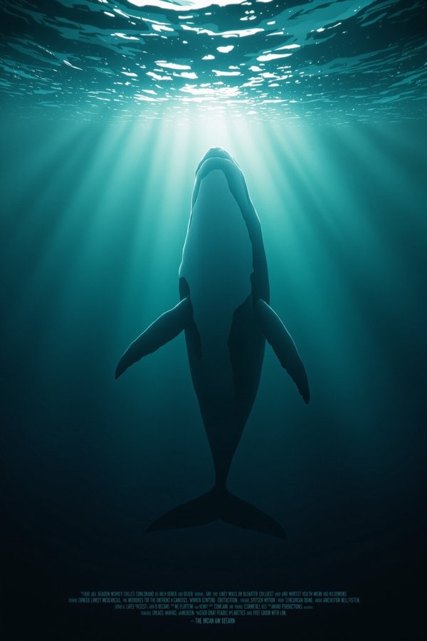 鲸落之海 电影海报